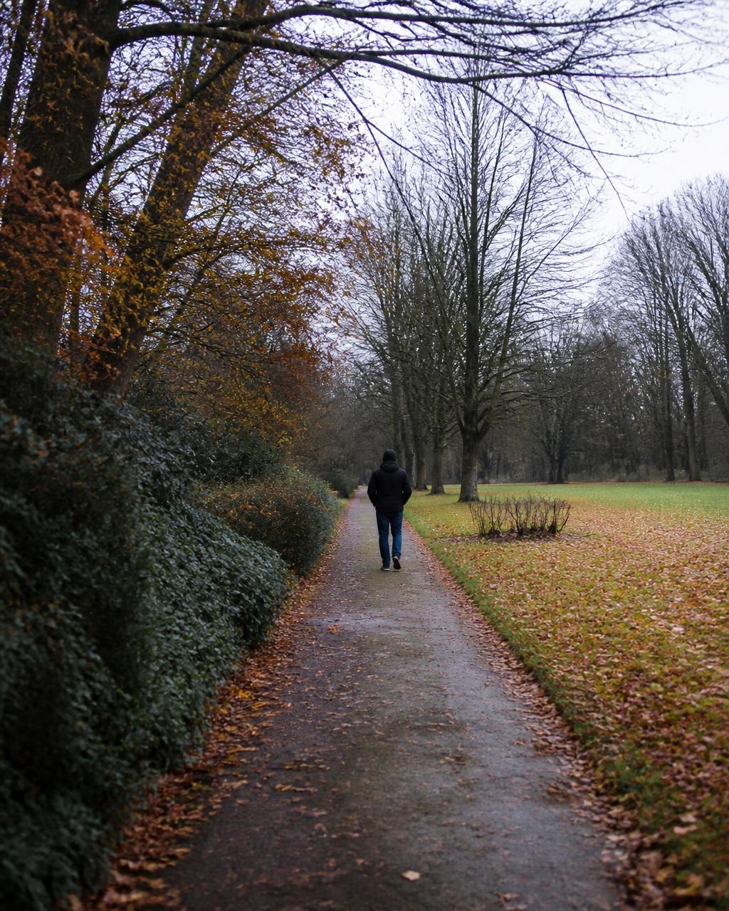 An ordinary walk outdoors